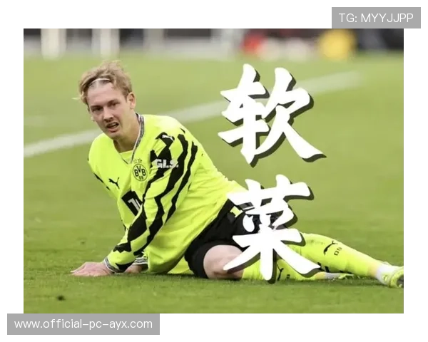 多特布兰特底线回传助攻队友近距离破门，展现完美团队配合！